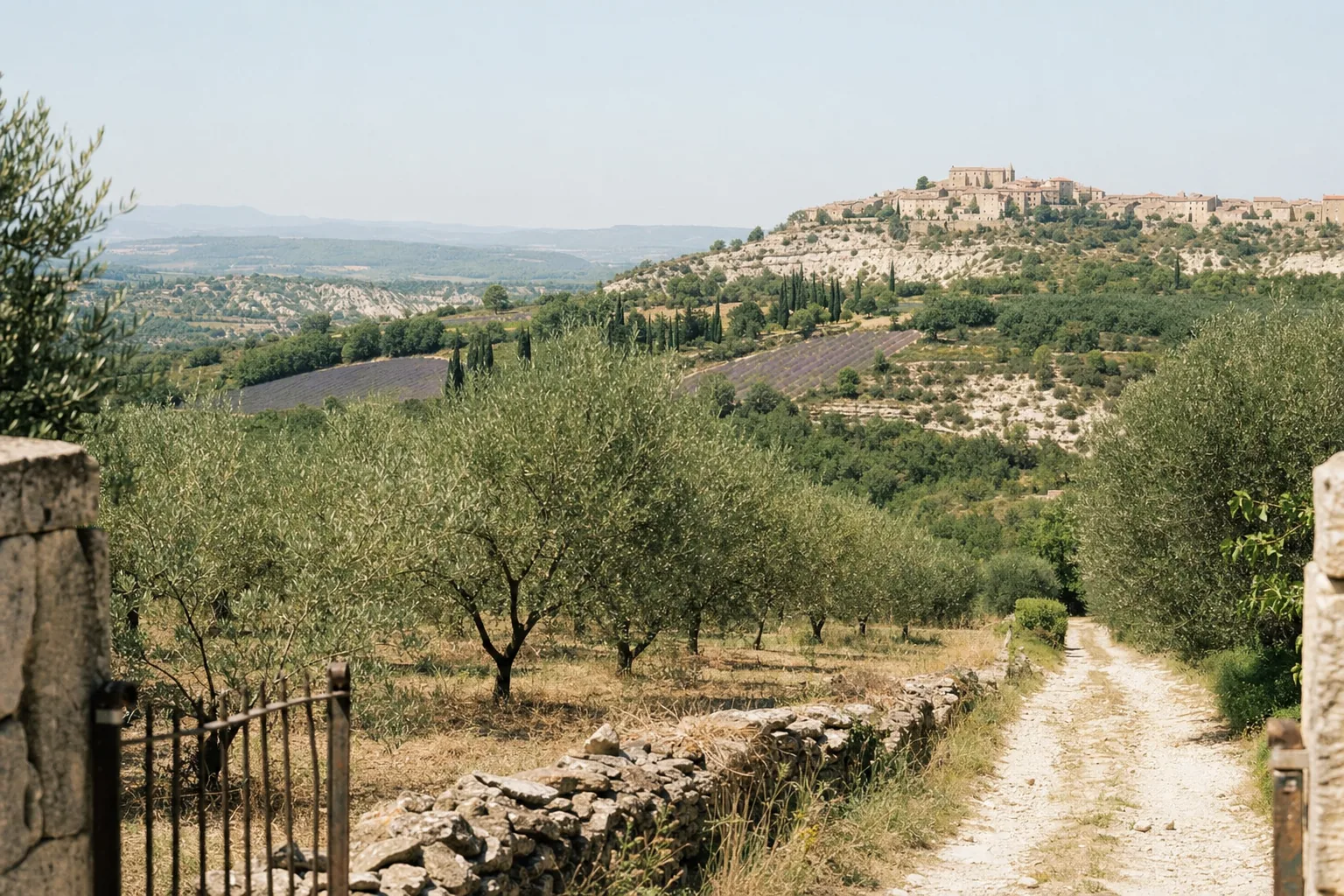 Les collines de la Drôme provençale au soleil bas, une oliveraie au premier plan et un village perché sur la crête