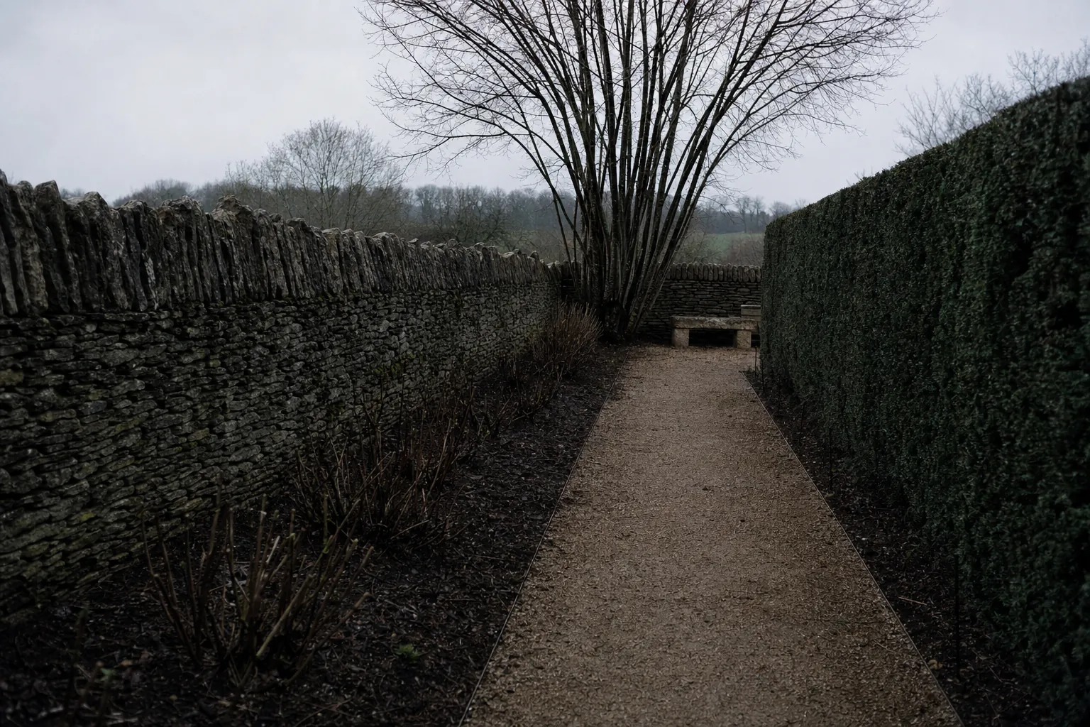L’allée du jardin de Sénouillac, bordures tout juste plantées et cépée de charme dénudée